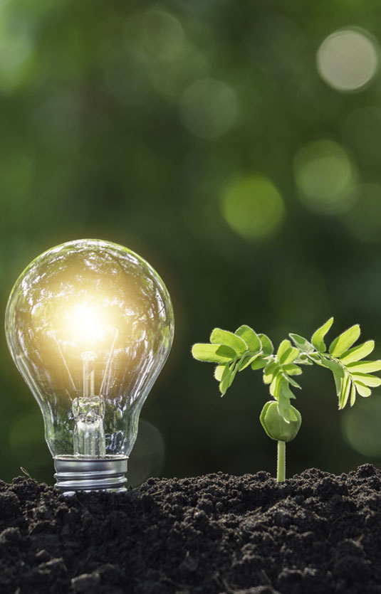 Marketing-Strategie, Consulting und Kreativberatung