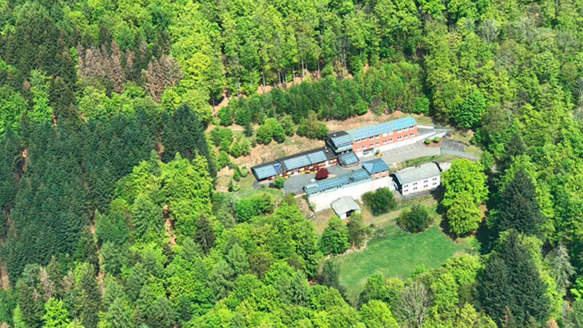 Werbeagentur im Wald